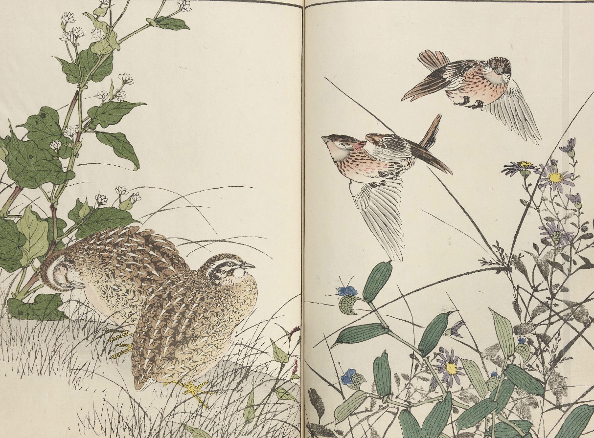 Kagenen’s Flower and Bird Painting Manual: A Timeless Art Guide