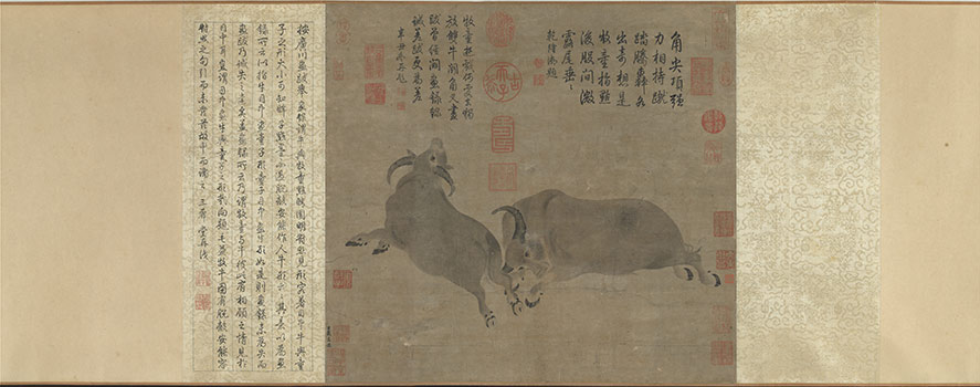 Fighting Bulls Scroll