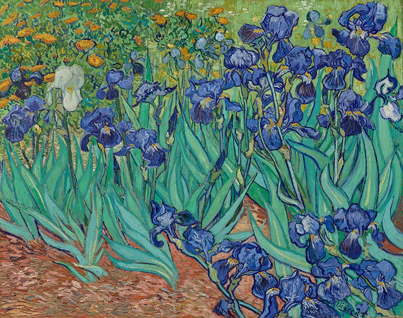 Irises (1889): Van Gogh’s Dance with Chaos and Grace