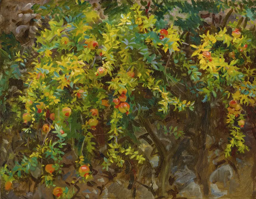 Pomegranates, Majorca by John Singer Sargent