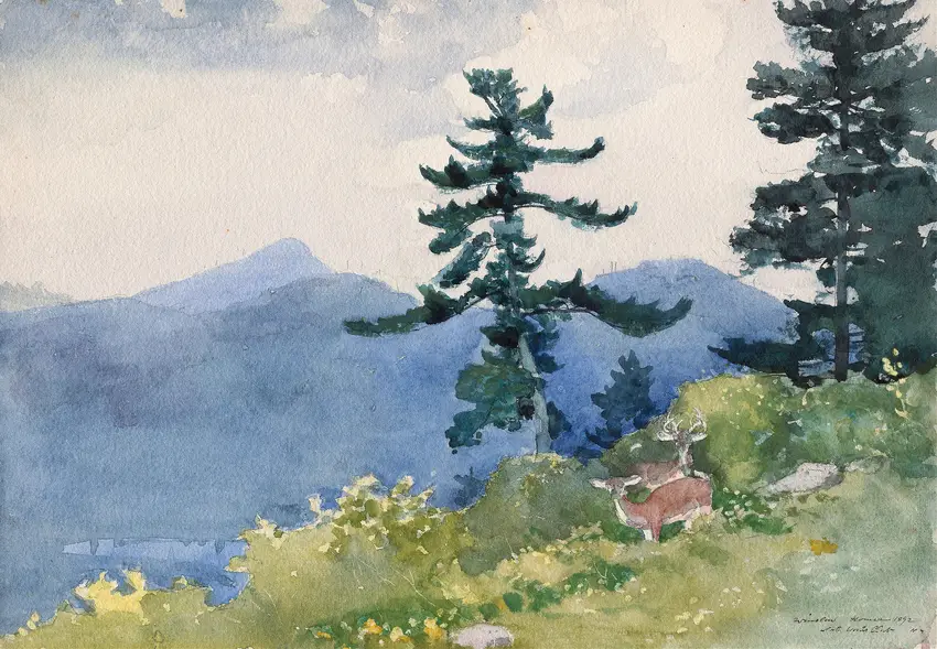 North Woods Club, Adirondacks (The Interrupted Tete-a-Tete) (1892) by Winslow Homer