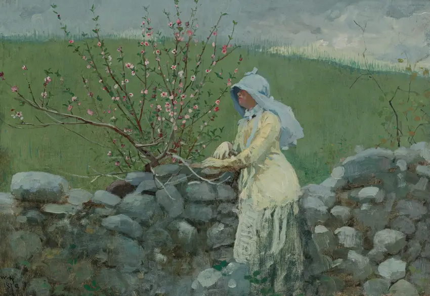 Peach Blossoms (1879) by Winslow Homer