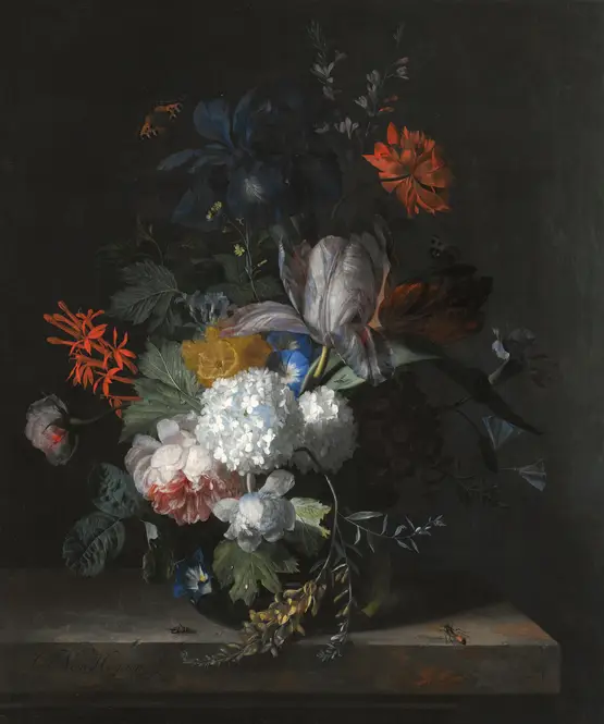 A Still Life With Hydrangea, Convolvulus, Polyanthus, Peonies, Auricula, Carnation, Tulips, Snowballs And Other Flowers In A Glass Vase by Jan van Huysum