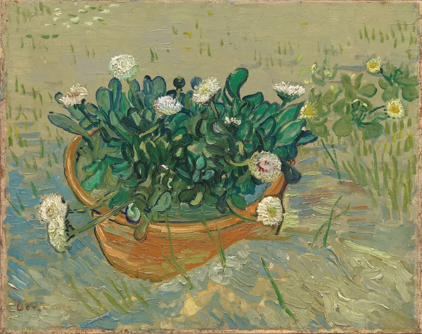 Daisies, Arles (1888) by Vincent van Gogh