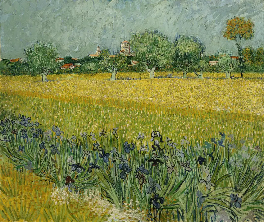Field with flowers near Arles (1888) by Vincent van Gogh