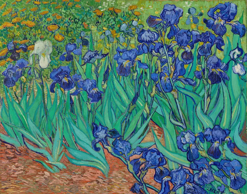 Irises (1889) by Vincent van Gogh