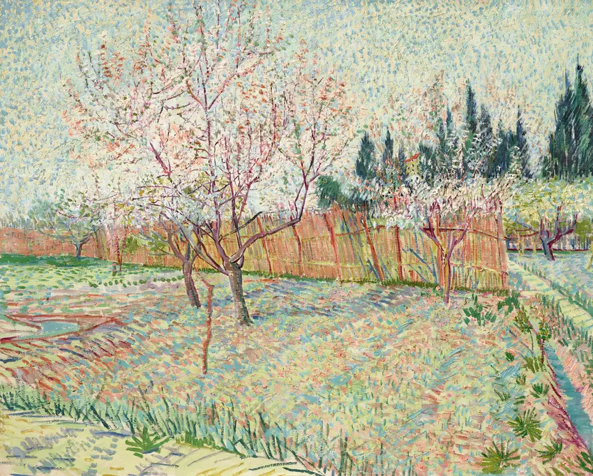 Verger avec cyprès (1888) by Vincent van Gogh