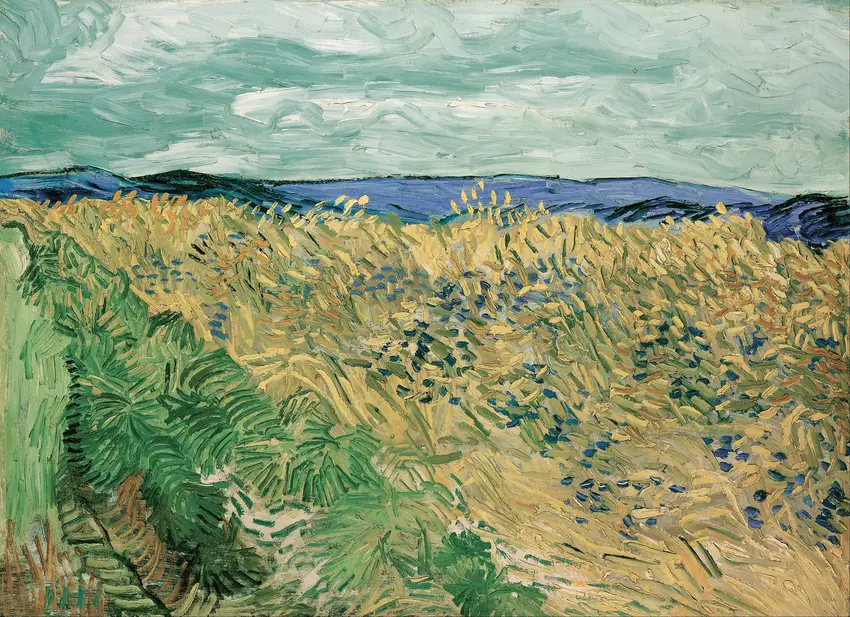 Wheatfield With Cornflowers (1890) by Vincent van Gogh